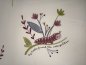 Preview: Baumwolljersey Raupe