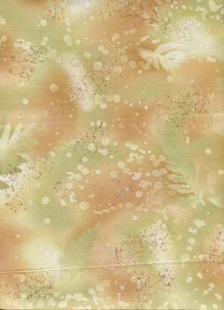 Versteinertes Farn, zartgrün-beige-braun