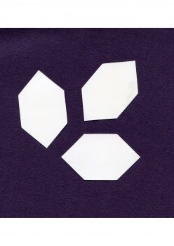 Paper Pieces Elongated Hexagon 1 inch