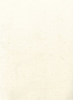 Rückseitenstoff 300 cm, Muslin, natur