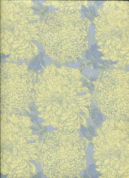 Chrysantheme blassgelb