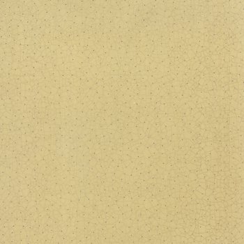 Winzige, schwarze Punkte auf Beige