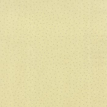 Winzige, schwarze Punkte auf Hellbeige