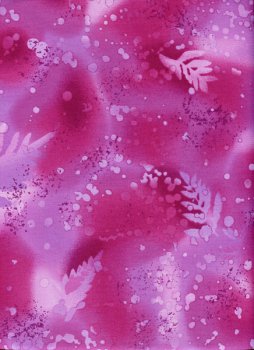 Versteinertes Farn, Fuchsia
