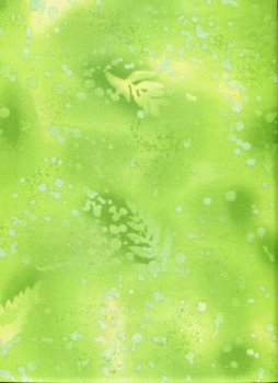 Versteinertes Farn, Lime Aid