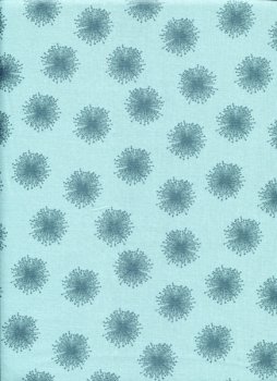 Grau-irisierende Pusteblumen auf Himmelblau