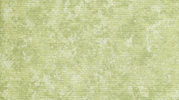 Falscher Uni Moss gescheckt