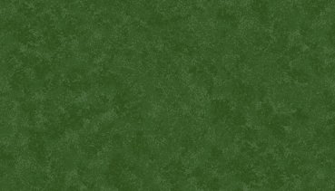 Falscher Uni Christmas Green gescheckt