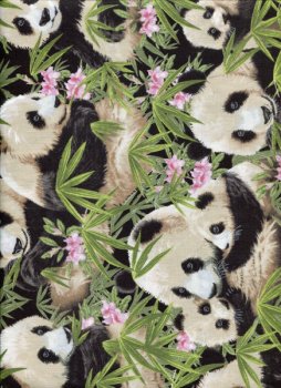 Bilderstoff, Pandabären