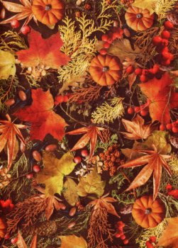 Herbstliches Laub mit Früchten