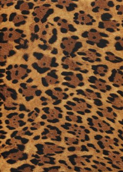 Leopardenhaut