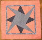 Ausstellungsstück Kissen Starry-Path