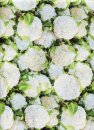 Blumenkohl