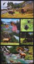 Panel 60 x 110 cm, Wildtiere in freier Natur