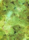 Baumwollstoff Geometrische grüne Kreise auf grün