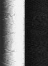 Elasticfaden - 10 m